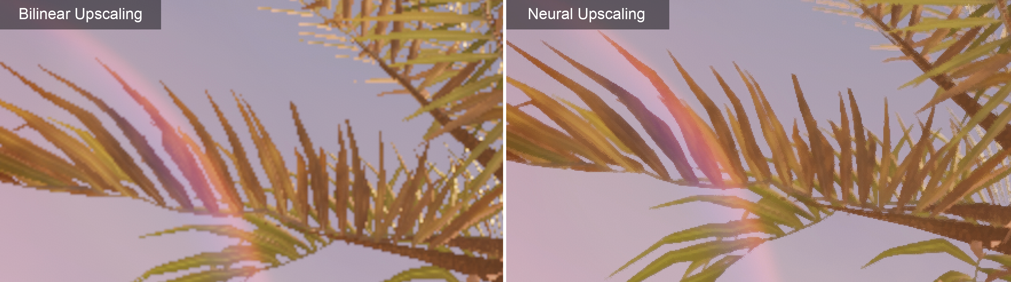 Foliage upscale